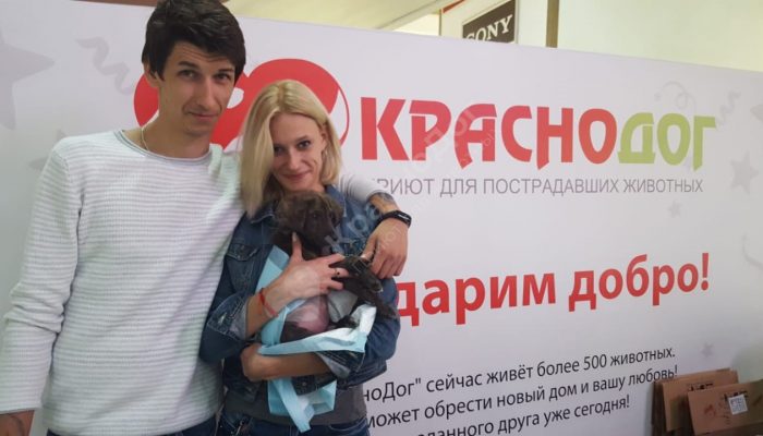Выставка в Мегацентре Красная площадь 13-15 сентября.